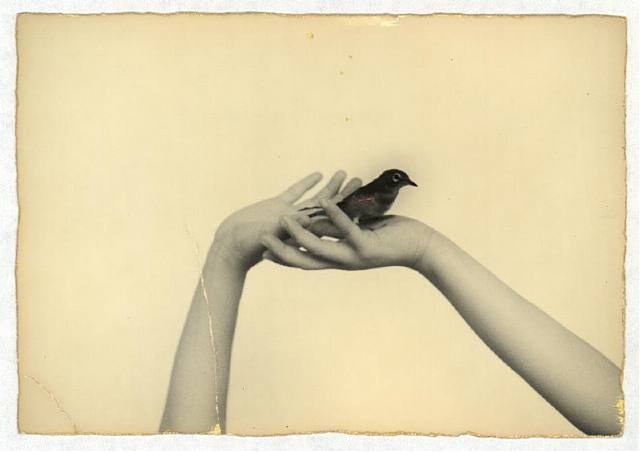  Masao Yamamoto, Nakazora #955