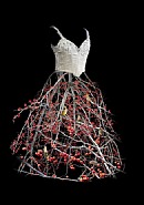 Untitled, Berry Dress, 2009