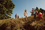 Holly Andres - The Fall of Spring Hill Series (Children Descending Spring Hill), 2011