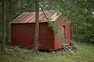 William Christenberry - Side of Red Building in Forest, Hale Co., Alabama (Photographs) h: 11 x w: 14 in / h: 27.9 x w: 35.6 cm
