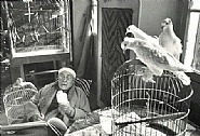 Henri Cartier-Bresson - Henri Matisse, Vence, France (Photographs) h: 12 x w: 16 in / h: 30.5 x w: 40.6 cm