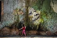 The Wrinkles of the City, Havana Cuba</br>Alicia Adela Hernandez Fernández