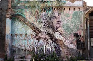 The Wrinkles of the City, Havana Cuba</br>Luisa Maria Miranda Oliva