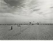 Harry Callahan - Cape Cod (Photographs) h: 9 x w: 12.1 in / h: 22.9 x w: 30.7 cm