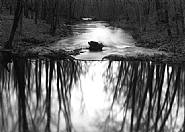Paul Caponigro - Little River, Redding, Connecticut (Photographs) h: 13.8 x w: 18.5 in / h: 35.1 x w: 47 cm