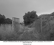 Untitled (40)