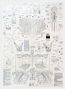 Replacement Tree (Cherry)