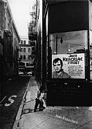 Daido Moriyama - Untitled, from the series 'Transit' (Photographs) h: 50 x w: 60 cm / h: 19.7 x w: 23.6 in
