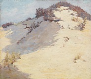 Sand Dunes, Provincetown
