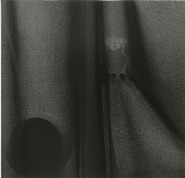 Beyond Bones #06-64