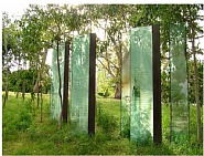 Veil of Trees