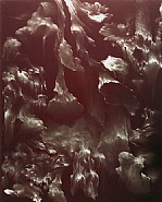 possible worlds #820