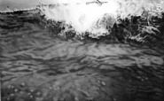 White Wave