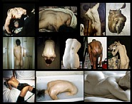 Nan Goldin - The Back (Photographs)
