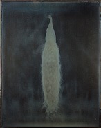 Adam Fuss - For Allegra, from the series My Ghost (Photographs)