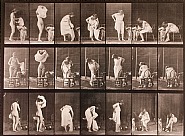 Eadweard Muybridge - Miscellaneous, Phases of the Toilet (Photographs)