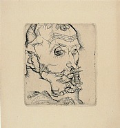 Egon Schiele - Portrait of Franz Hauer (Prints and Multiples) h: 5.1 x w: 4.4 in / h: 13 x w: 11.2 cm