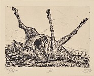 Horse Cadaver
