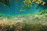 Wolfgang Tillmans - Blautopf, Landscape (Photographs) h: 12 x w: 16 in / h: 30.5 x w: 40.6 cm