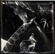 Joel-Peter Witkin - Journeys of the Mask: A Prince in Hell, New Mexico (Photographs)