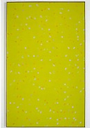 Larry Poons - Jessica’s Hartford (Paintings) h: 128 x w: 80 in / h: 325.1 x w: 203.2 cm