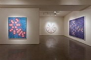 Installation view: Kelsey Brookes - Serotonin; Happiness and Spiritual States. Quint Contemporary Art