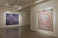 Installation view: Kelsey Brookes - Serotonin; Happiness and Spiritual States. Quint Contemporary Art