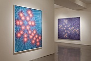 Installation view: Kelsey Brookes - Serotonin; Happiness and Spiritual States. Quint Contemporary Art
