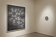 Installation view: Kelsey Brookes - Serotonin; Happiness and Spiritual States. Quint Contemporary Art