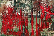 Gerhard Richter - Ohne Titel (Paintings) h: 10 x w: 15 cm / h: 3.9 x w: 5.9 in