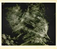 Edward Weston - Clouds, Death Valley (Photographs) h: 9.5 x w: 7.6 in / h: 24.1 x w: 19.3 cm