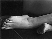 Edward Weston - Feet, 1933 (Photographs)