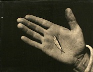 Martha's Vineyard (Hand with Minnow)