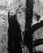 Homage to Franz Kline San Luis Potosi, Mexico 23