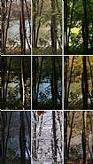 Étang de Pezières II - 52 Hour Film