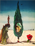 Salvador Dalí - Enigma of the Rose/Death (from Visions Surrealiste Suite of 4) (Prints and Multiples) h: 29.8 x w: 21.4 in / h: 75.7 x w: 54.4 cm