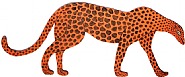 The Great Cheetah