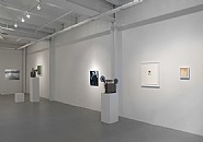 installation view at Samsøn: Victoria Fu: Milk of the Eye, November 2 - December 22, 2012