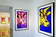 Three Cows, Installation View
