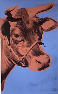 Cow (11A)
