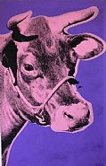 Cow (12A)