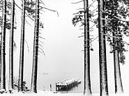 Snow Storm, Lake Tahoe, California