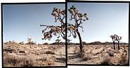 Hidden Valley, Joshua Tree National Park
