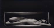 In the Box - Horizontal