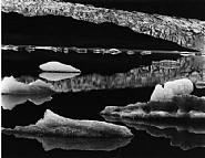 Mendenhall Glacier