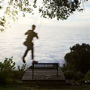 Torre on the Swing, Big Sur, California