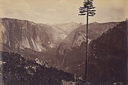 Best General View, Yosemite