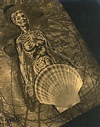 Untitled (Shell and Body) from Seance, Berkeley