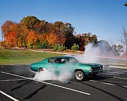 Matthew Porter - Burnout #4 (Photographs) h: 20 x w: 25.4 in / h: 50.8 x w: 64.5 cm