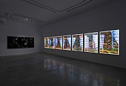 Matthew Brandt: Stars. Dust, Bubble Wrap- Installation View